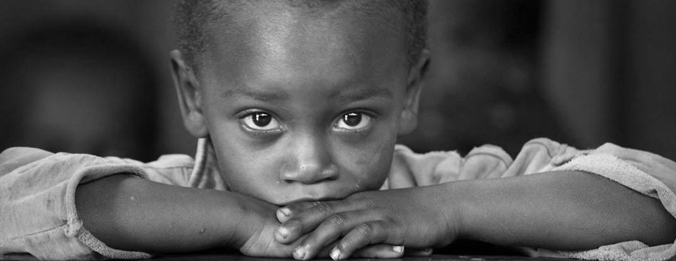 自动攻击网站工具下载